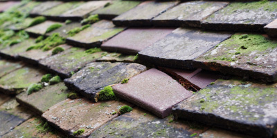 Launton roof repair costs